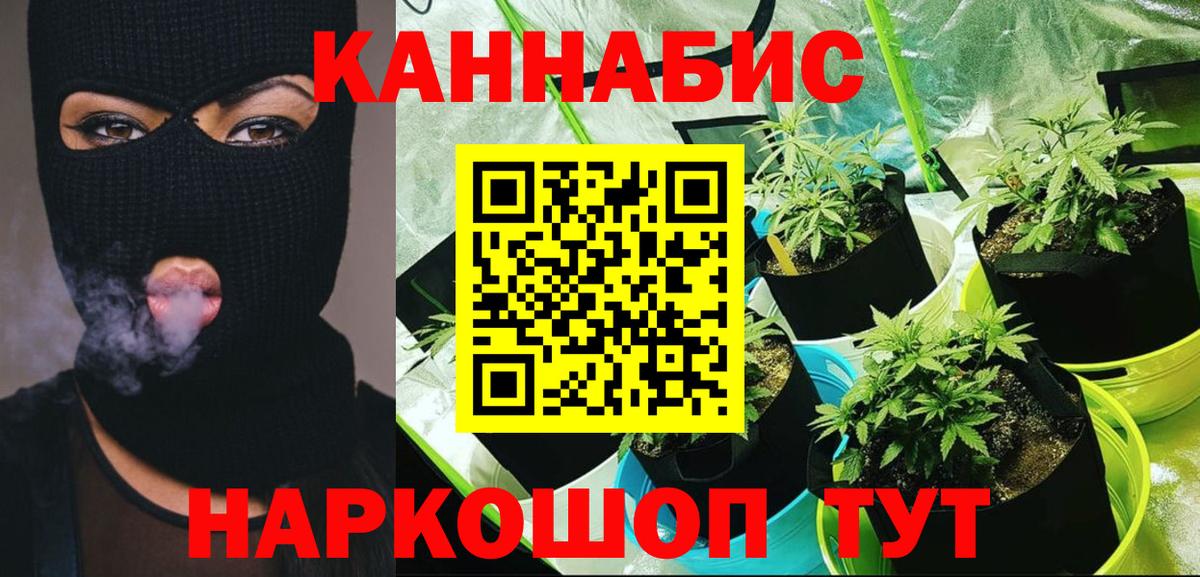 Бошки Шишки индика  Вход с VPN  Канабис LSD WEED  Бошки Шишки тримм  Сатка  Шишки марихуана SATIVA & INDICA 
